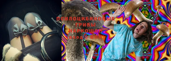 дурь Переславль-Залесский